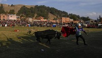 Sehingga, turnamen lawan banteng yang populer itu bisa dinikmati warga tanpa harus mengorbankan hewan.