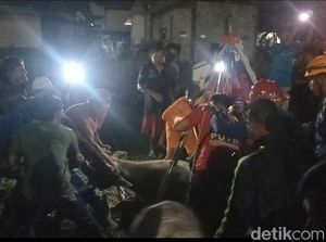 Heboh Penyelamatan Kerbau Terjebak Dalam Sumur di Tasikmalaya