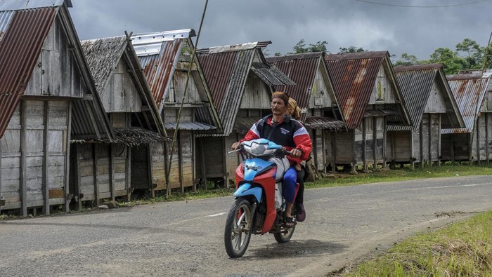 Masyarakat adat memasukkan padi ke dalam leuit atau lumbung padi saat ritual Seren Taun di Desa Cisungsang, Lebak, Banten.