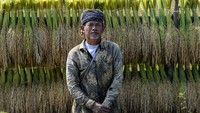 Untuk memaknai padi tersebut masyarakat adat pun melaksanakan ritual Seren Taun atau upacara serah terima tahun yang dilaksanakan dalam rentang waktu setahun sekali dan dilakukan pada bulan Rayagung dalam kalender masyarakat adat Sunda. Upacara itu bagi masyarakat adat Sunda merupakan sebuah hajatan besar sekaligus ajang silaturahmi yang dilakukan setelah panen raya padi gede.  