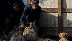 Seren Taun, Cara Kasepuhan Adat Jaga Ketahanan Pangan