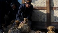 Menjelang puncak ritual Seren Taun, mereka berkeliling kampung sambil memainkan alat musik tradisional angklung buhun sebagai pengiring rangkaian ritual Seren Taun.  
