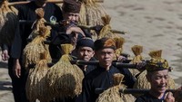 Sebagai komunitas agraris, kehidupan masyarakat hukum adat Kasepuhan Citorek sangat bergantung pada sistem pertanian dengan budi daya padi.  