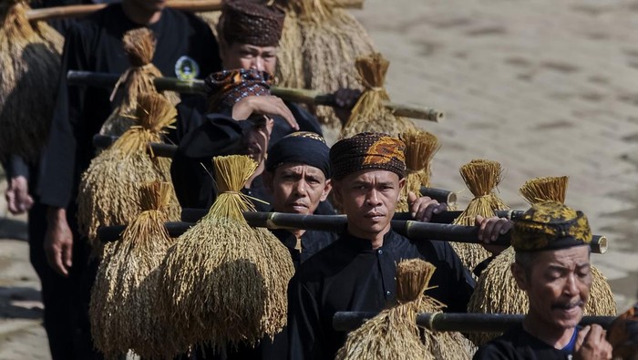 Masyarakat adat memasukkan padi ke dalam leuit atau lumbung padi saat ritual Seren Taun di Desa Cisungsang, Lebak, Banten.