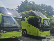 Adu Layanan Sleeper Bus di Pulau Dewata