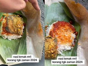 Wow! Beli Nasi Lemak Rp 3 Ribuan Dapat Lauk Ikan Porsi Besar