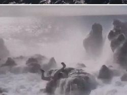 Aksi Nekad Content Creator Ini Bikin Ngakak