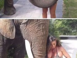 Aksi Nekad Content Creator Ini Bikin Ngakak