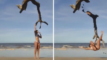 Adegan dahan part 2. Foto: Influencer in The Wild via Boredpanda