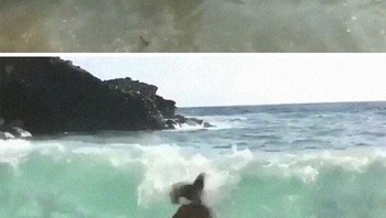 Foto menantang ombak... Foto: Influencer in The Wild via Boredpanda