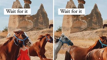 Minggir mba kudanya mau lewat... Foto: Influencer in The Wild via Boredpanda