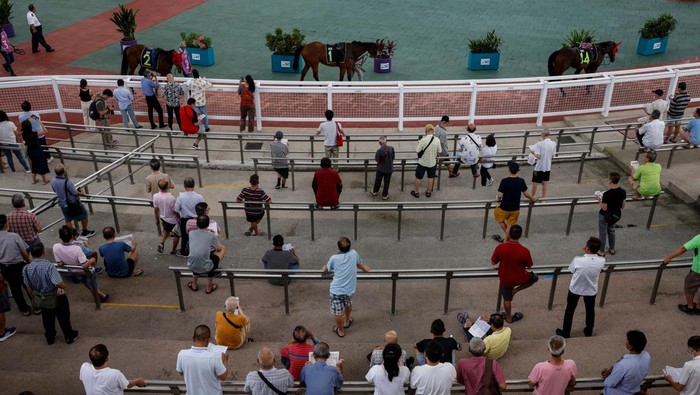 Punters assess races horses as they are led by their grooms at the parade ring of the Singapore Turf Club in Kranji, Singapore June 11, 2023. REUTERS/Edgar Su