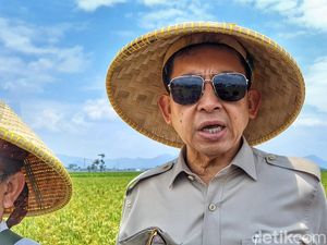 Kata Fadli Zon soal Lahan Sawah Jadi Perumahan-Jalan Tol