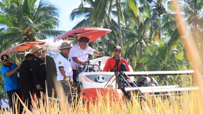I Nengah Tamba dalam sebuah kesempatan panen raya bersama petani. (Dok. Pemkab Jembrana)