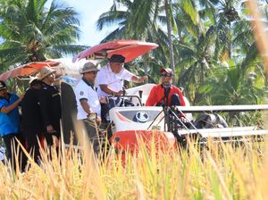 Hore! Tahun 2025 Petani di Jembrana Tak Perlu Takut Merugi Jika Gagal Panen