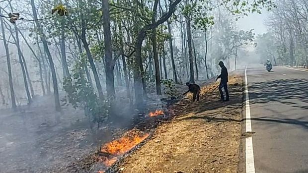 Kebakaran hutan di TN Baluran Situbondo