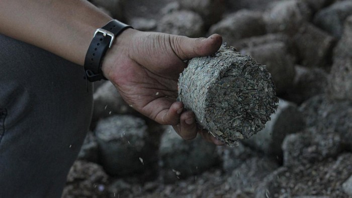 Leburan Uang Kertas Jadi Bahan Bakar PLTU Pekerja dengat alat berat melakukan proses droping site sebelum pencampuran biomassa di PLTU Bolok, Kabupaten Kupang, Nusa Tenggara Timur, Selasa (8/10/2024). PT PLN (Persero) Unit Induk Wilayah NTT dan Kantor Perwakilan Bank Indonesia (BI) Provinsi NTT memanfaatkan limbah operasional BI yakni uang lusuh yang telah dileburkan dalam program co-firing biomassa sebagai pengganti batu bara pada rasio tertentu di PLTU Bolok untuk menghasilkan energi listrik serta mendukung target energi bersih di Indonesia. ANTARA FOTO/Mega Tokan/sgd/Spt.