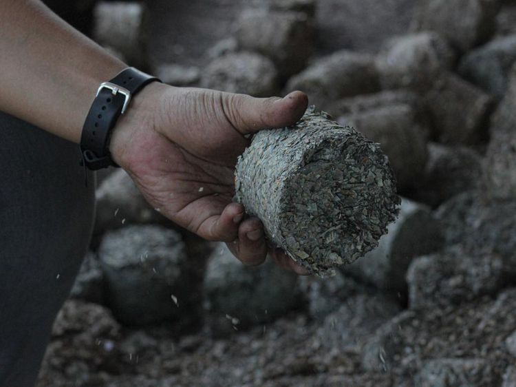 Leburan Uang Kertas Jadi Bahan Bakar PLTU