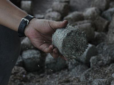Leburan Uang Kertas Jadi Bahan Bakar PLTU
