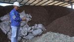 Leburan Uang Kertas Jadi Bahan Bakar PLTU