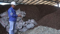 Seorang petugas PLTU memeriksa leburan uang kertas di PLTU Bolok, Kabupaten Kupang, Nusa Tenggara Timur (NTT), Selasa (8/10/2024).  