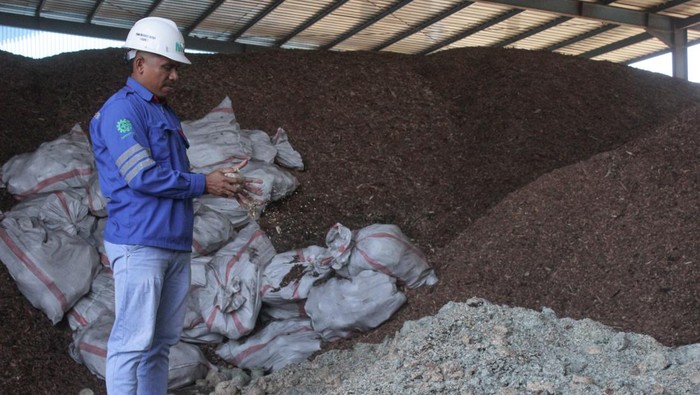 Pekerja dengat alat berat melakukan proses droping site sebelum pencampuran biomassa di PLTU Bolok, Kabupaten Kupang, Nusa Tenggara Timur, Selasa (8/10/2024). PT PLN (Persero) Unit Induk Wilayah NTT dan Kantor Perwakilan Bank Indonesia (BI) Provinsi NTT memanfaatkan limbah operasional BI yakni uang lusuh yang telah dileburkan dalam program co-firing biomassa sebagai pengganti batu bara pada rasio tertentu di PLTU Bolok untuk menghasilkan energi listrik serta mendukung target energi bersih di Indonesia. ANTARA FOTO/Mega Tokan/sgd/Spt.