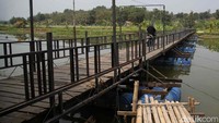 Jembatan ini dibangun diatas drum-drum yang mengapung.