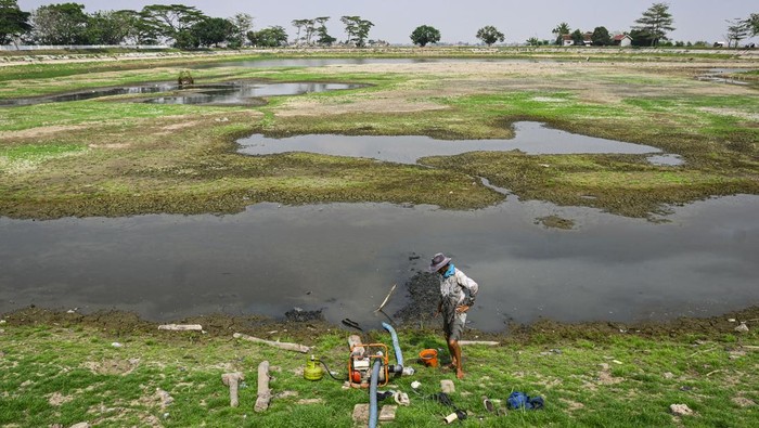 Seorang petani memompa air dari Waduk Sumur Karang yang kekeringan di Kronjo, Kabupaten Tangerang, Banten, Rabu (9/10/2024). Debit air waduk seluas 5,7 hektar yang dimanfaatkan petani untuk mengairi sawah tadah hujan tersebut menyusut akibat musim kemarau dan sawah terancam puso. ANTARA FOTO/Sulthony Hasanuddin/rwa.