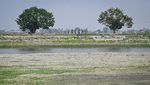 Penampakan Air Waduk Kronjo Tangerang Menyusut Drastis