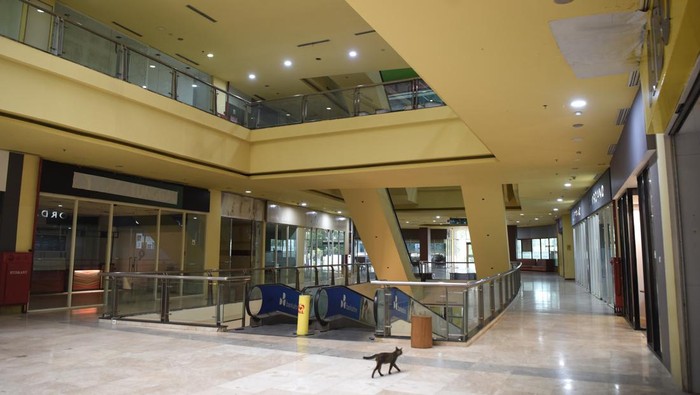 Pengunjung berjalan di salah satu lorong Mal Plaza Mulia, Samarinda, Kalimantan Timur, Selasa (8/10/2024). Bank Kaltimtara mengeluarkan pengumuman lelang untuk Mal tersebut yang sudah berlangsung sejak 29 Agustus 2024, dengan tanah seluas 11.355 meter persegi dan bangunan seluas 53.268 meter persegi yang dihargai senilai Rp501,17 miliar imbas dari sepinya pengunjung. ANTARA FOTO/M Risyal Hidayat/Spt.