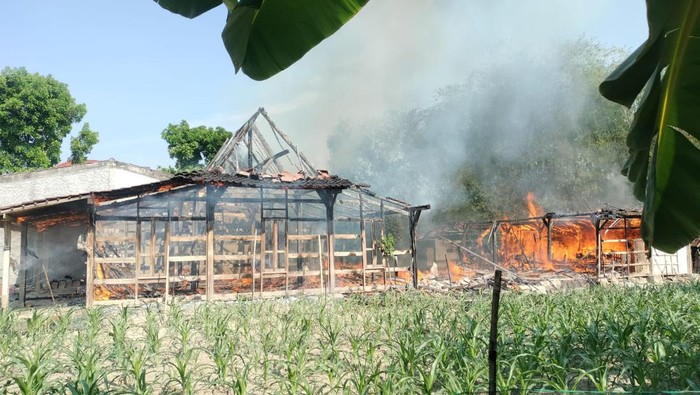 Penampakan rumah terbakar di Desa Tunggak, Kecamatan Toroh, Kabupaten Grobogan, Rabu (9/10/2024).