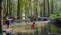 Wisata ini cocok jadi tempat wisata keluarga untuk mengenalkan alam sekitar kepada anak-anak sekaligus menjadi tempat healing dengan suasana yang masih asri dan udara yang segar.