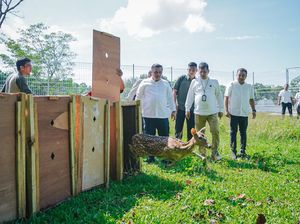 Istana Kepresidenan Bogor Hibahkan 15 Ekor Rusa Totol ke Taman Cadika Medan