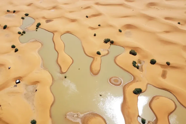 Air membanjiri Gurun Sahara dan mengisi danau yang sudah setengah abad kering.