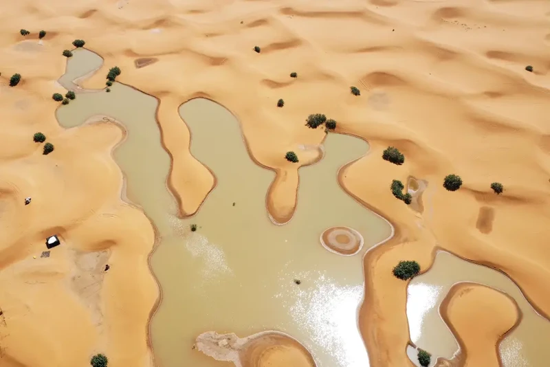 Air membanjiri Gurun Sahara dan mengisi danau yang sudah setengah abad kering.