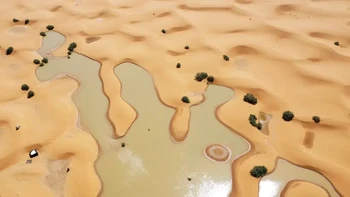 Danau Iriqui, dasar danau antara Zagora dan Tata yang telah kering selama 50 tahun, terisi oleh curah hujan dalam gambar dari satelit NASA. Wilayah Merzouga juga diguyur hujan lebat. Foto: AP via New York Post