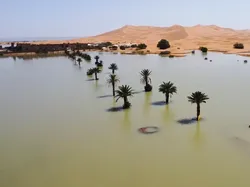 Danau di Gurun Sahara Terisi Banjir Akibat Curah Hujan Ekstrem