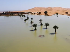 Hujan Ekstrem Sebabkan Banjir di Gurun Sahara