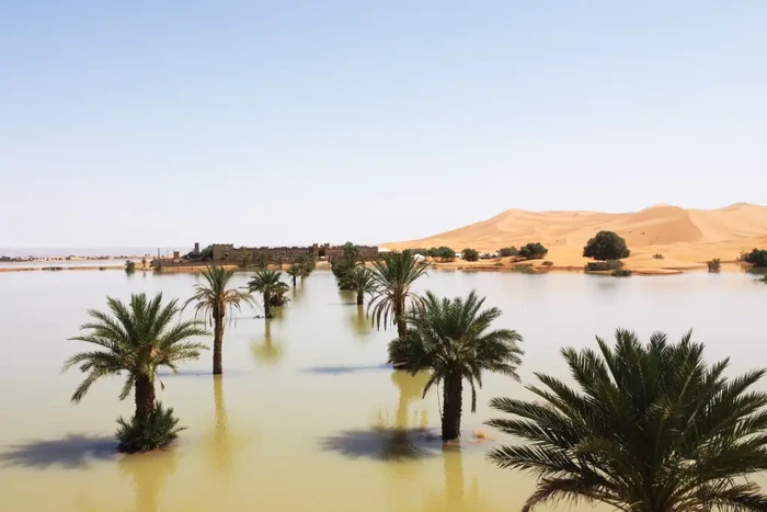 Air membanjiri Gurun Sahara dan mengisi danau yang sudah setengah abad kering.