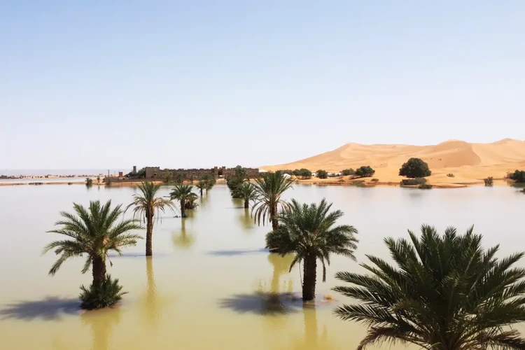 Air membanjiri Gurun Sahara dan mengisi danau yang sudah setengah abad kering.