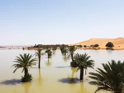 Danau di Gurun Sahara Terisi Banjir Akibat Curah Hujan Ekstrem