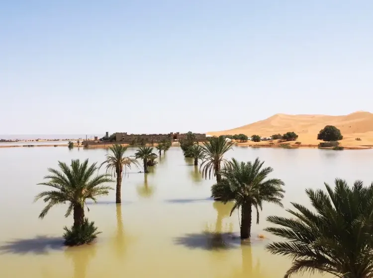 Potret Danau yang Mendadak Muncul di Gurun Sahara