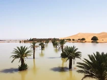 Video: Lihat Lagi Penampakan Banjir di Gurun Sahara