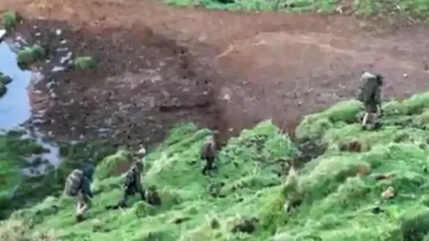 Ayah ajak anak ke hutan belantara di Selandia Baru