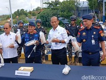 Penyelundupan Benih Lobster Senilai Rp 13 Miliar di Batam Digagalkan