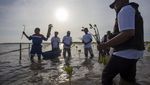Jaga Kelestarian Mangrove di Pesisir Indramayu