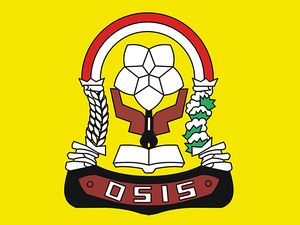 Struktur OSIS SMP dengan Seksi-seksi Organisasi dan Tugasnya
