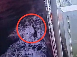 Sakit Hati Lansia Lompat ke Laut gegara Anak Ogah Jemput di Pelabuhan Mamuju