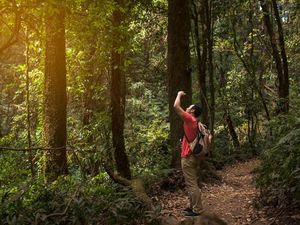 8 Tips Jika Tersesat di Hutan Saat Mendaki Gunung