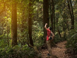 8 Tips Jika Tersesat di Hutan Saat Mendaki Gunung